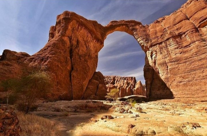 Arche Aloba